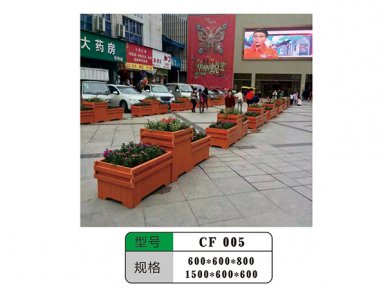 CF 005